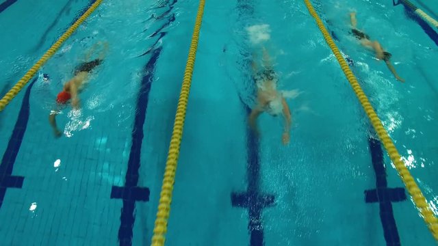 swimmers compete in the pool of three men