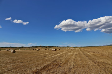 Obraz premium Countryside with crops and castle