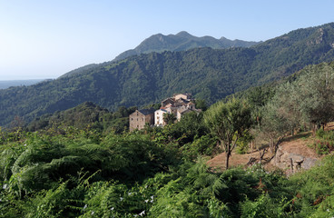 Fototapeta na wymiar Tavagna mountains in Corsica