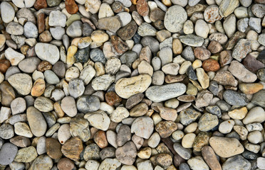 Many Stones in the garden for wallpaper and texture.