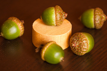 Still life of acorns