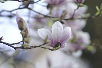 Frühling ist da...