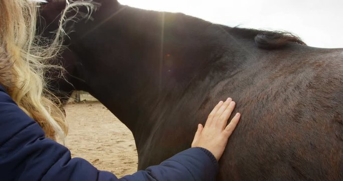 Beautiful young woman stroking a horse 4k