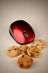 Mouse eating cookies