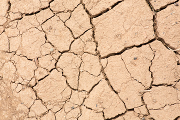 texture of the earth. small and coarse fraction. drought.