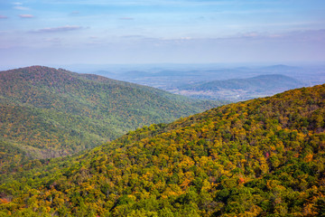 Fall Foliage in Mountains. Autumn in Virginia (Shenandoah National park). Skyline view.