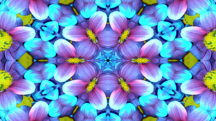 Flowers Flora Kaleidoscope