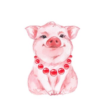 Funny pig. Isolated on white. Cute watercolor illustration