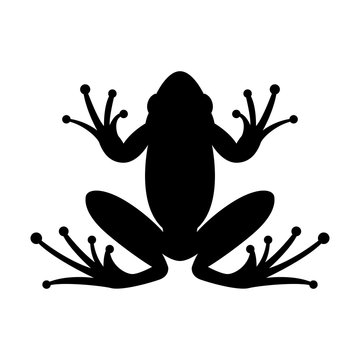  frog  vector illustration black silhouette   front side