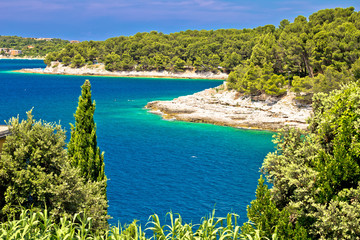 Zlatne Stijene stone beach in Pula view © xbrchx