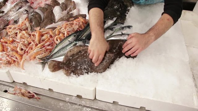 Banco del pesce fresco