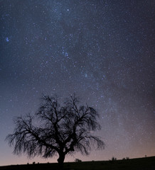 Espaço e a vida na terra