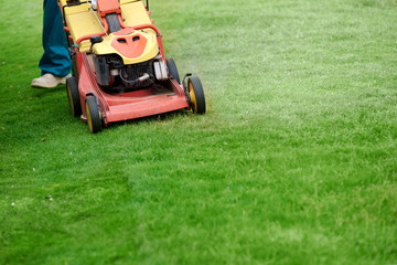 Lawn mower cutting green grass in backyard, Garden service, Grass cutter cutting green lawns.