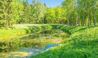 Fototapeta na wymiar Summer landscape with a river and a forest