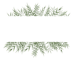 background for text from eucalyptus. gray and green eucalyptus.invitation, postcard with eucalyptus. rustic style, Botanical style. burp with greens. vector illustration