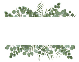 background for text from eucalyptus. gray and green eucalyptus.invitation, postcard with eucalyptus. rustic style, Botanical style. burp with greens. vector illustration - obrazy, fototapety, plakaty