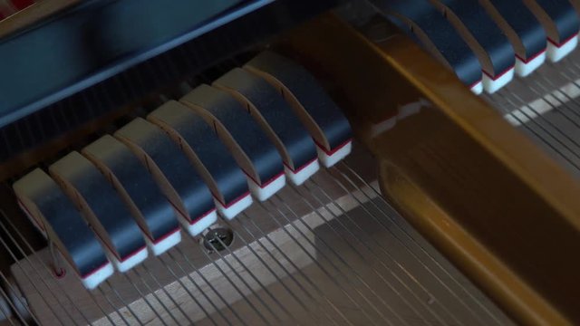 The interior mechanics of a Pearl River black grand piano with all the strings and keys.