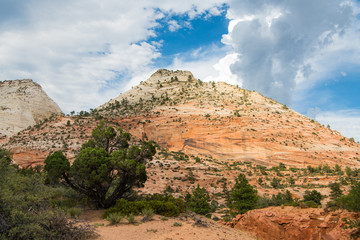 A colorful sandstone peak and landscape under dramatic skies in Zion National Park