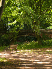 Bench seat in sunlit patch in wood