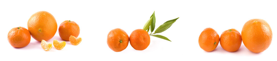 Fresh mandarins isolated on white background. Oranges are arranged in rows. Placed on a white background.