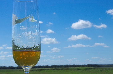 Glass of wine against the blue sky and clouds