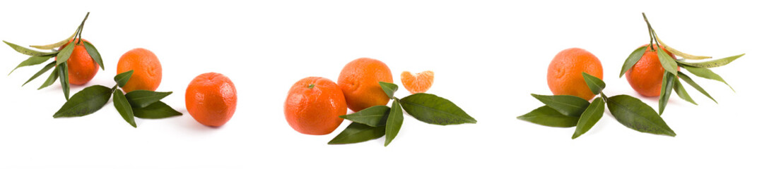 Fresh mandarins isolated on white background. Oranges are arranged in rows. Placed on a white...