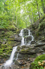 Obraz premium smooth water in waterfall with yellow leaves on the green stone in forest