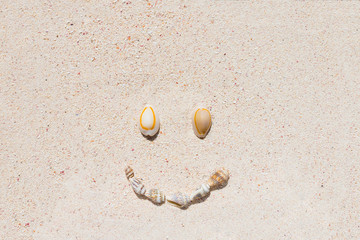 Composition of smile made of many beautiful conch shells from a coral reef of Mauritius in Indian Ocean on a Tropical beach sand in the sunlight. Top view - copy space. Travel and holiday concept.