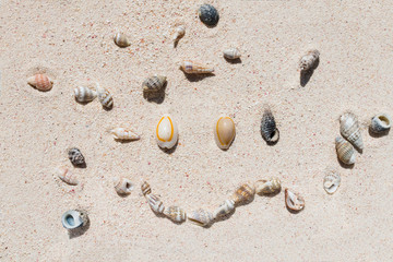 Composition of smile made of many beautiful conch shells from a coral reef of Mauritius in Indian Ocean on a Tropical beach sand in the sunlight. Top view - copy space. Travel and holiday concept.