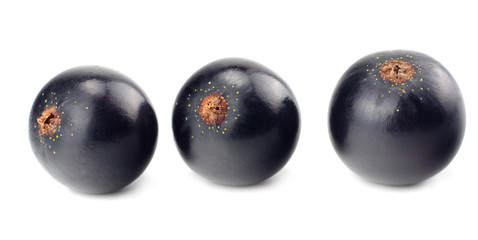 black currant isolated on white background. macro