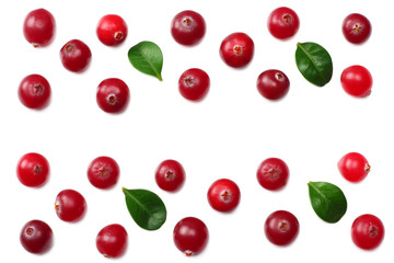 Cranberry with green leaves isolated on white background. top view