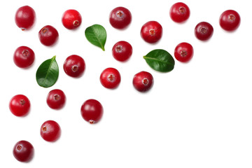 Cranberry with green leaves isolated on white background. top view