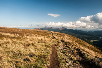 Obraz premium autumn Polonina Carynska in Bieszczady mountains in Poland