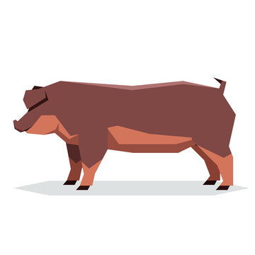 Flat Geometric Duroc Pig