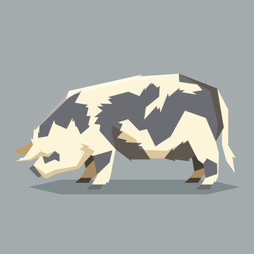 Flat geometric Kunekune pig