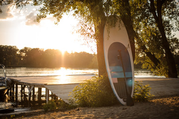 Sup board standing near the tree on the lakeside on the sunset