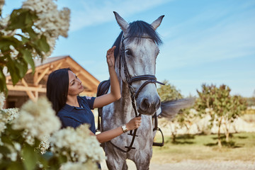 Obraz premium Beautiful brunette girl stroking her gray horse near lilac bushes in garden.