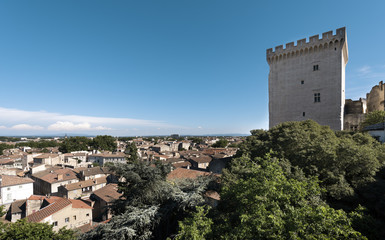 View from the Dom Garden on Avignon. Vaucluse, Provence, France, Europe.