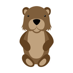 Bear flat illustration