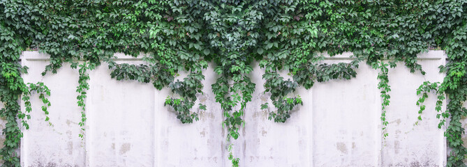 Marble facing stone, texture. sunlight