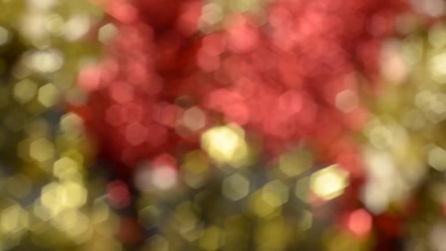 Out of focus view of Christmas lights and decorations.