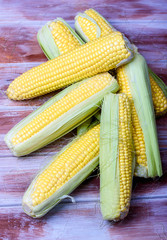 Ripe and sweet corn on a wooden background