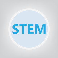 STEM (Science; Technology; Engineering and Mathematics) concept- vector illustration