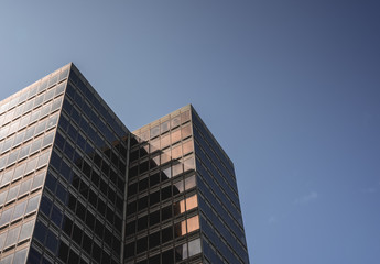 Obraz premium High rise office building in the sun