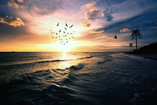 Sunset Beach dramatic evening