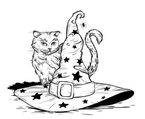 Cat and wizard hat. Halloween concept. Black and white