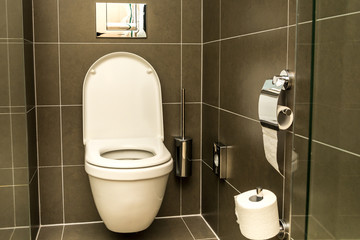 Luxury bathroom features basin and toilet bowl