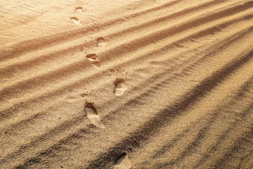 Human shoe traces on wet golden sand surface near sea or ocean. Sunrise or snset lights. Bright summer background