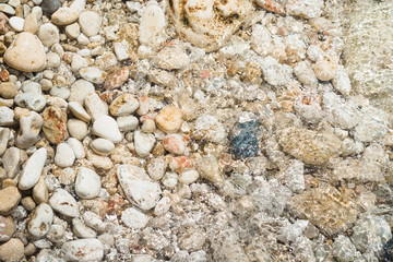 Clear sea, stone beach. Summer. Pattern. Background.