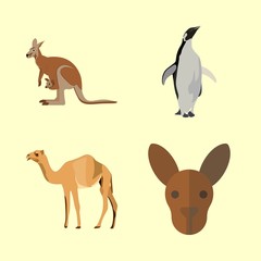 animals icons set. funny, cattle, camel and wild graphic works